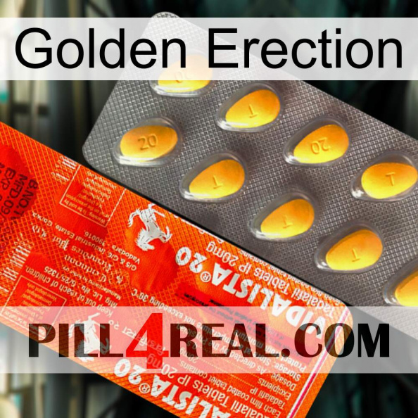 Golden Erection new01.jpg